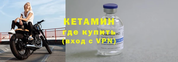 прущие грибы Осташков
