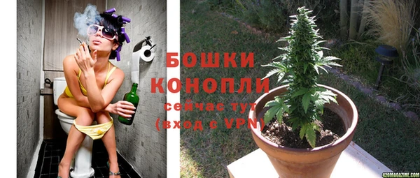 тгк Пестово