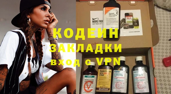 прущие грибы Осташков