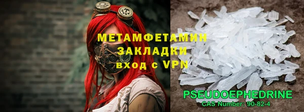 прущие грибы Осташков