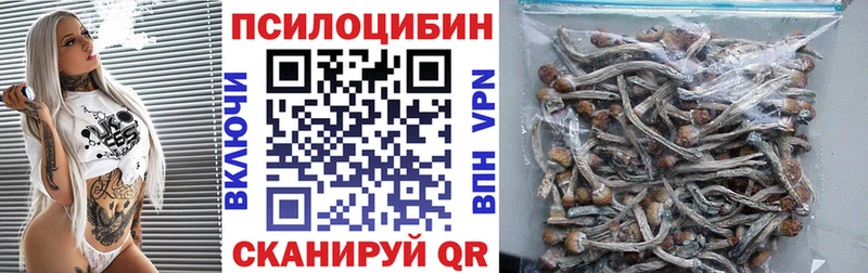 хочу Слюдянка darknet Telegram Псилоцибиновые грибы MAGIC MUSHROOMS